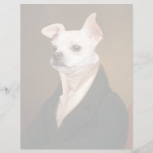 Niedliche Kleintiere   Royal Chihuahua Portrait