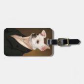 Niedliche Kleintiere | Royal Chihuahua Portrait Gepäckanhänger (Vorderseite horizontal)