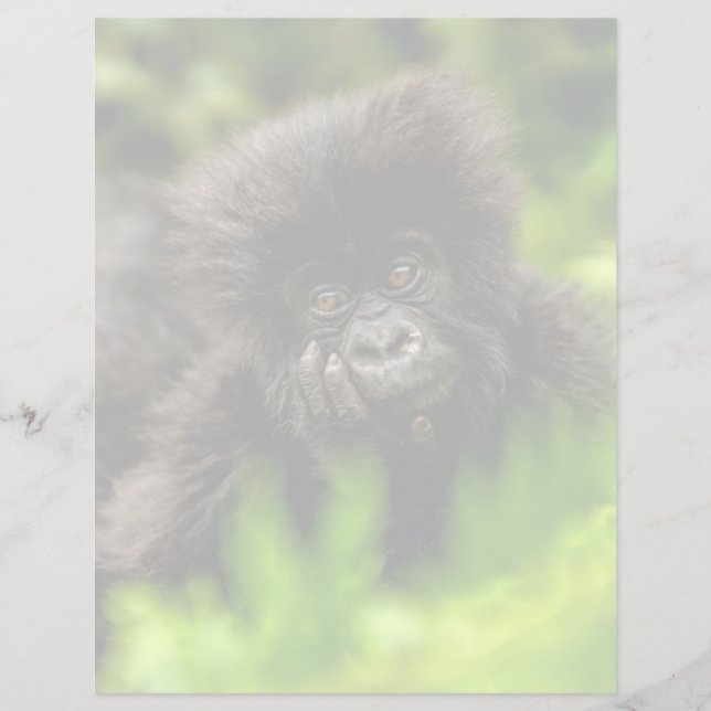 Niedliche Kleintiere | Säugling Gorilla (Vorderseite)