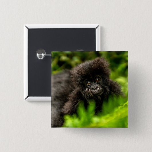 Niedliche Kleintiere | Säugling Gorilla Button (Vorne & Hinten)