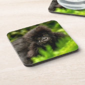 Niedliche Kleintiere | Säugling Gorilla Getränkeuntersetzer (Linke Seite)