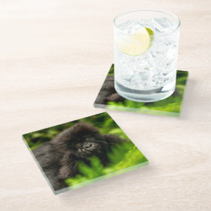 Niedliche Kleintiere Säugling Gorilla Glasuntersetzer