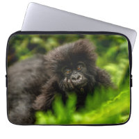 Niedliche Kleintiere | Säugling Gorilla