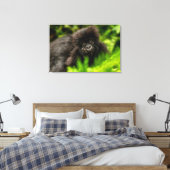 Niedliche Kleintiere | Säugling Gorilla Leinwanddruck (Insitu (Schlafzimmer))
