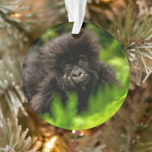 Niedliche Kleintiere | Säugling Gorilla Ornament (Baum)