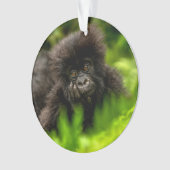 Niedliche Kleintiere | Säugling Gorilla Ornament (Vorderseite)