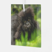 Niedliche Kleintiere | Säugling Gorilla Ornament Aus Glas (Vorderseite links)