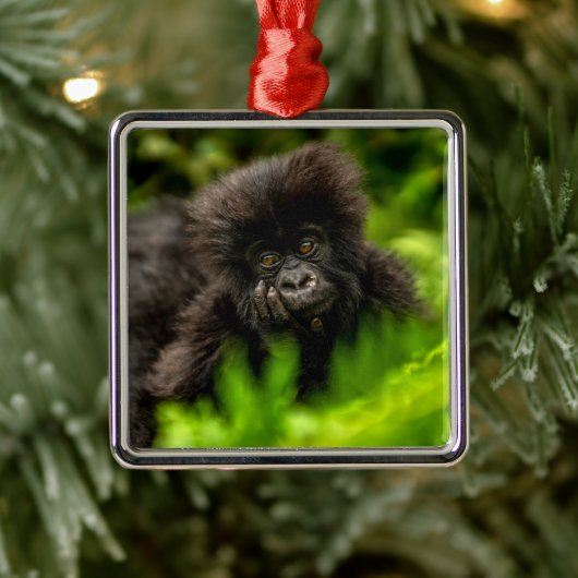 Niedliche Kleintiere | Säugling Gorilla Ornament Aus Metall (Baum)