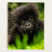 Niedliche Kleintiere | Säugling Gorilla Planer (Vorderseite)