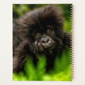 Niedliche Kleintiere | Säugling Gorilla Planer (Rückseite)