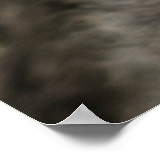 Niedliche Kleintiere | Säugling Gorilla Poster (Ecke)