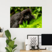 Niedliche Kleintiere | Säugling Gorilla Poster (Heimbüro)