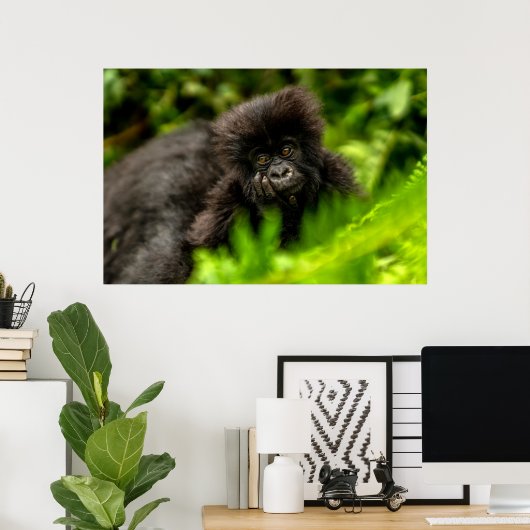 Niedliche Kleintiere | Säugling Gorilla Poster (Heimbüro)
