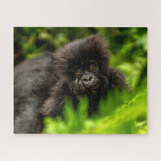 Niedliche Kleintiere | Säugling Gorilla Puzzle (Horizontal)