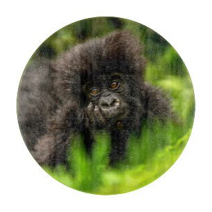 Niedliche Kleintiere   Säugling Gorilla Schneidebrett