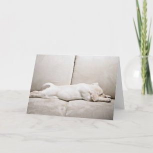 Niedliche Kleintiere Schläfengelbes Labrador-Wel Karte
