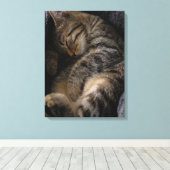 Niedliche Kleintiere | Schlaftablett Leinwanddruck (Insitu (Holzboden))