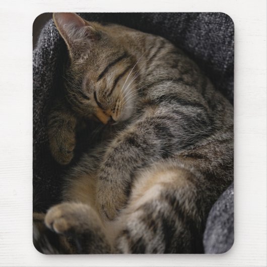 Niedliche Kleintiere | Schlaftablett Mousepad (Vorne)