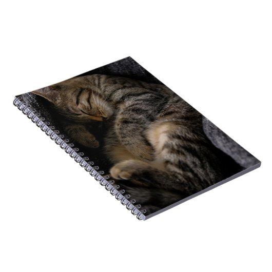 Niedliche Kleintiere | Schlaftablett Notizblock (Rechte Seite)