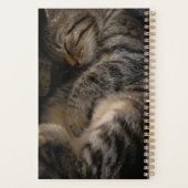 Niedliche Kleintiere | Schlaftablett Planer (Rückseite)