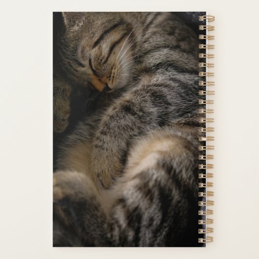 Niedliche Kleintiere | Schlaftablett Planer (Rückseite)