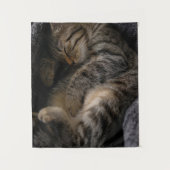 Niedliche Kleintiere | Schlaftablett Wandteppich (Vorderseite)