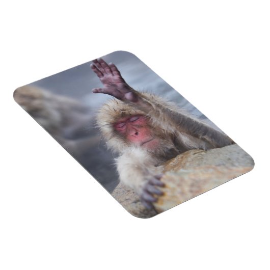 Niedliche Kleintiere | Schneeaffe Magnet (Rechte Seite)