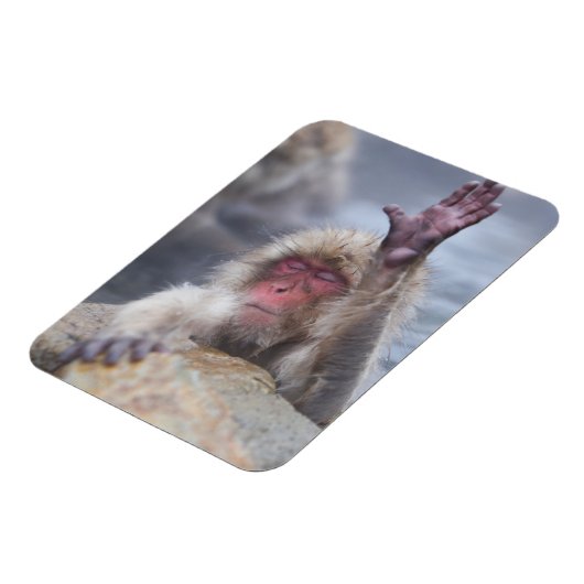 Niedliche Kleintiere | Schneeaffe Magnet (Linke Seite)