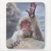 Niedliche Kleintiere | Schneeaffe Mousepad (Vorne)