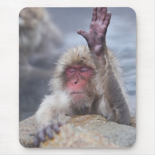 Niedliche Kleintiere | Schneeaffe Mousepad (Vorne)