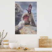 Niedliche Kleintiere | Schneeaffe Poster (Küche)