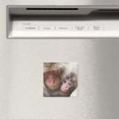 Niedliche Kleintiere | Schneelaffe Magnet (In Situ (Geschirrspüler))