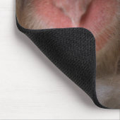Niedliche Kleintiere | Schneelaffe Mousepad (Ecke)
