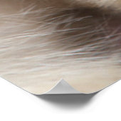 Niedliche Kleintiere | Schneelaffe Poster (Ecke)