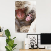 Niedliche Kleintiere | Schneelaffe Poster (Heimbüro)