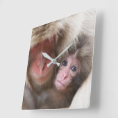 Niedliche Kleintiere | Schneelaffe Quadratische Wanduhr (Winkel)
