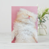 Niedliche Kleintiere | Schönes Kittenschlafen Dankeskarte (Stehend Vorderseite)