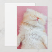 Niedliche Kleintiere | Schönes Kittenschlafen Dankeskarte (Vorne/Hinten)
