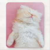 Niedliche Kleintiere | Schönes Kittenschlafen Mousepad (Vorne)