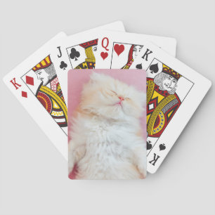 Niedliche Kleintiere Schönes Kittenschlafen Spielkarten