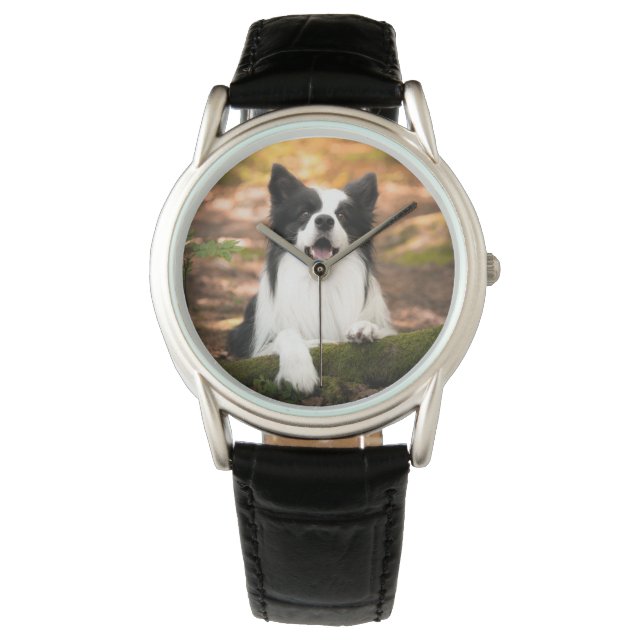 Niedliche Kleintiere | Schwarz-Weiß-Border-Collie Armbanduhr (Vorderseite)