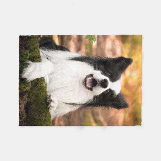 Niedliche Kleintiere | Schwarz-Weiß-Border-Collie Fleecedecke (Vorderseite (Horizontal))
