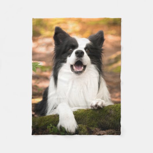 Niedliche Kleintiere | Schwarz-Weiß-Border-Collie Fleecedecke (Vorderseite)