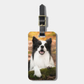 Niedliche Kleintiere | Schwarz-Weiß-Border-Collie Gepäckanhänger (Vorderseite vertikal)