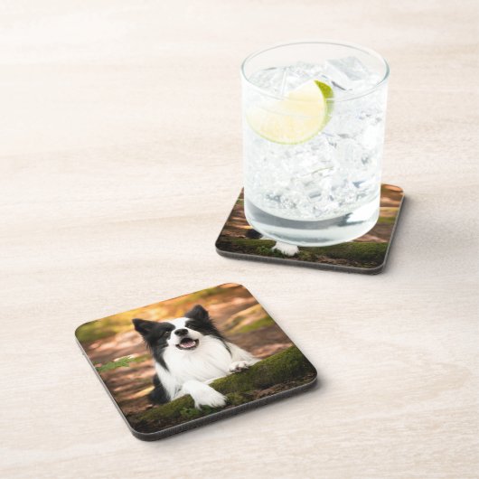 Niedliche Kleintiere | Schwarz-Weiß-Border-Collie Getränkeuntersetzer (Rechte Seite)
