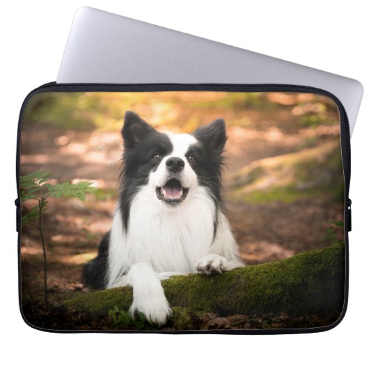 Niedliche Kleintiere | Schwarz-Weiß-Border-Collie Laptopschutzhülle (Vorderseite)