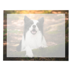 Niedliche Kleintiere Schwarz-Weiß-Border-Collie Notizblock