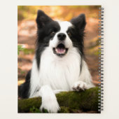 Niedliche Kleintiere | Schwarz-Weiß-Border-Collie Planer (Rückseite)