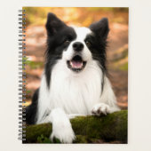 Niedliche Kleintiere | Schwarz-Weiß-Border-Collie Planer (Vorderseite)