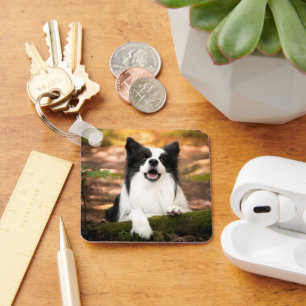 Niedliche Kleintiere Schwarz-Weiß-Border-Collie Schlüsselanhänger